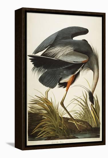 Great Blue Heron-John James Audubon-Framed Premier Image Canvas