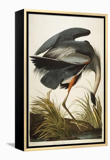 Great Blue Heron-John James Audubon-Framed Premier Image Canvas