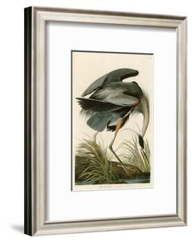 Great Blue Heron-John James Audubon-Framed Photographic Print