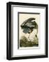 Great Blue Heron-John James Audubon-Framed Photographic Print