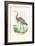 Great Blue Heron-null-Framed Art Print