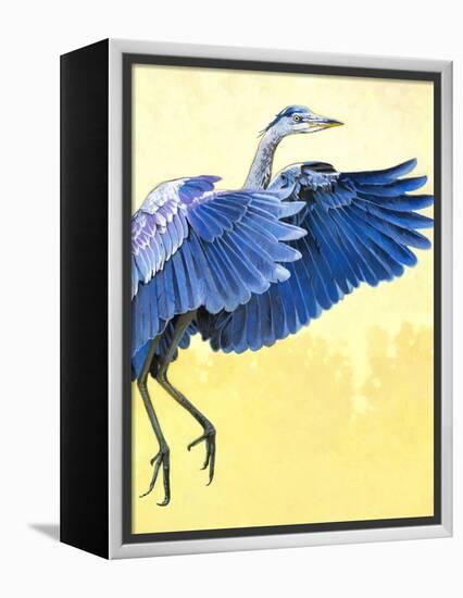 Great Blue Heron-Max Hayslette-Framed Premier Image Canvas