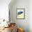 Great Blue Heron-Max Hayslette-Framed Giclee Print displayed on a wall