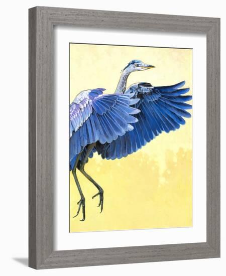 Great Blue Heron-Max Hayslette-Framed Giclee Print