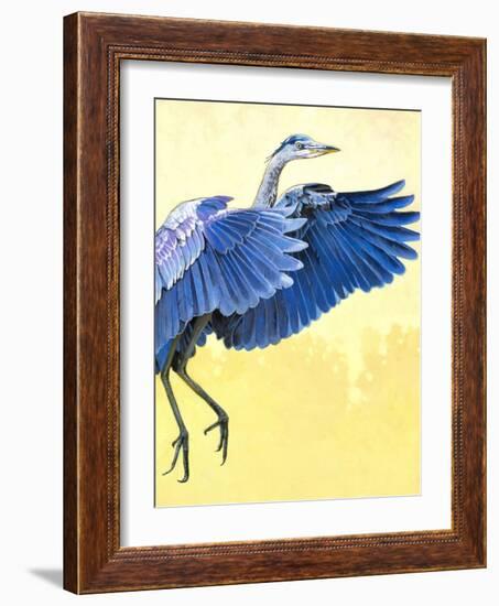 Great Blue Heron-Max Hayslette-Framed Giclee Print