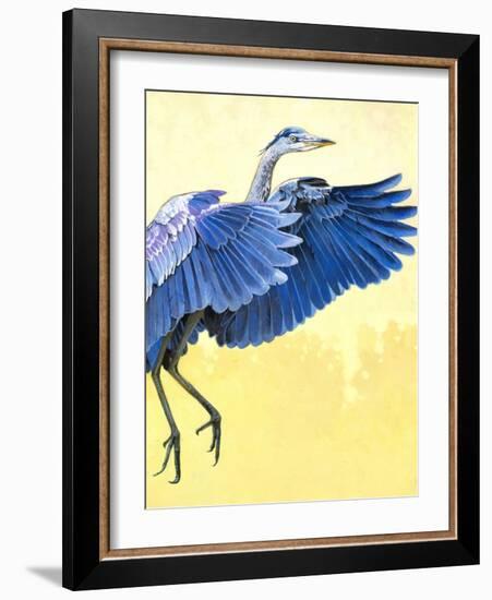 Great Blue Heron-Max Hayslette-Framed Giclee Print