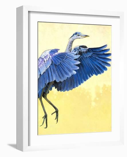 Great Blue Heron-Max Hayslette-Framed Giclee Print