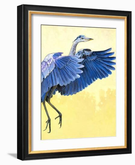 Great Blue Heron-Max Hayslette-Framed Giclee Print