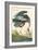 Great Blue Heron-John James Audubon-Framed Art Print