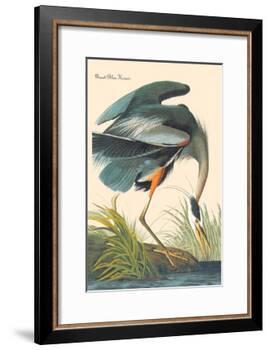 Great Blue Heron-John James Audubon-Framed Art Print