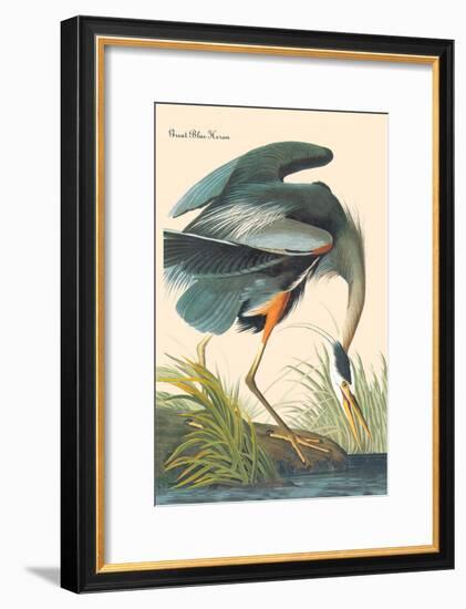 Great Blue Heron-John James Audubon-Framed Art Print