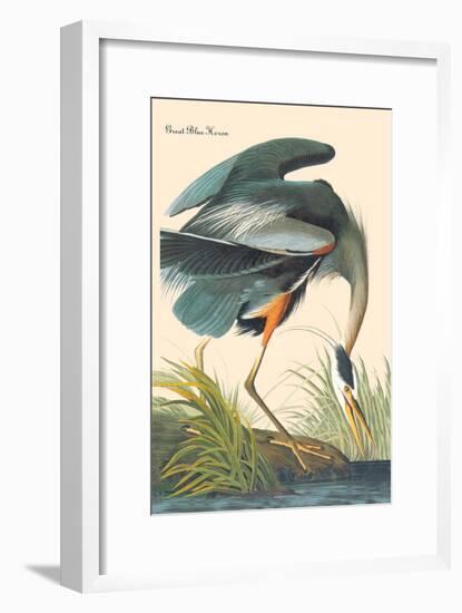 Great Blue Heron-John James Audubon-Framed Art Print