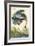 Great Blue Heron-John James Audubon-Framed Art Print