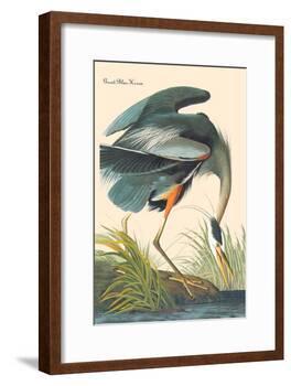 Great Blue Heron-John James Audubon-Framed Art Print