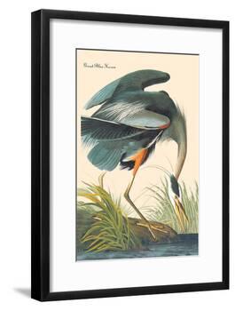 Great Blue Heron-John James Audubon-Framed Art Print