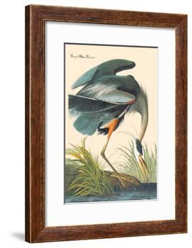 Great Blue Heron-John James Audubon-Framed Art Print