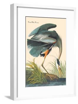 Great Blue Heron-John James Audubon-Framed Art Print
