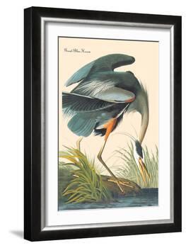 Great Blue Heron-John James Audubon-Framed Art Print