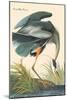 Great Blue Heron-John James Audubon-Mounted Art Print
