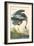 Great Blue Heron-John James Audubon-Framed Art Print