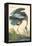 Great Blue Heron-John James Audubon-Framed Stretched Canvas