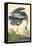 Great Blue Heron-John James Audubon-Framed Stretched Canvas