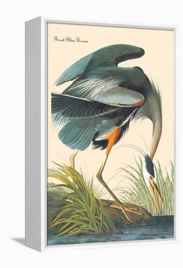 Great Blue Heron-John James Audubon-Framed Stretched Canvas