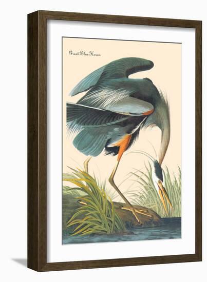 Great Blue Heron-John James Audubon-Framed Premium Giclee Print