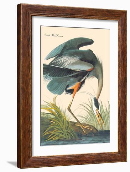 Great Blue Heron-John James Audubon-Framed Premium Giclee Print