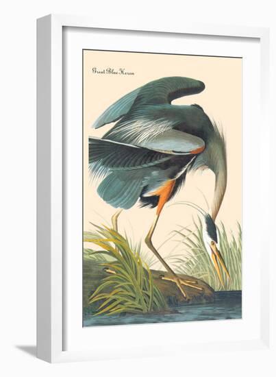 Great Blue Heron-John James Audubon-Framed Premium Giclee Print