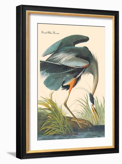 Great Blue Heron-John James Audubon-Framed Premium Giclee Print