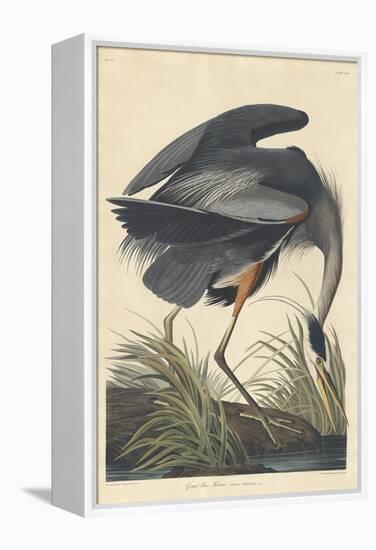 Great Blue Heron-John James Audubon-Framed Premier Image Canvas