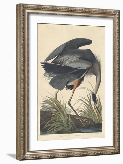 Great Blue Heron-John James Audubon-Framed Premium Giclee Print