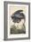 Great Blue Heron-John James Audubon-Framed Giclee Print