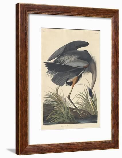 Great Blue Heron-John James Audubon-Framed Giclee Print