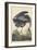 Great Blue Heron-John James Audubon-Framed Giclee Print