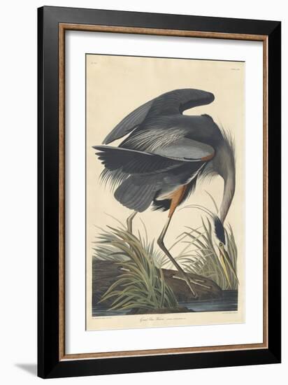 Great Blue Heron-John James Audubon-Framed Giclee Print