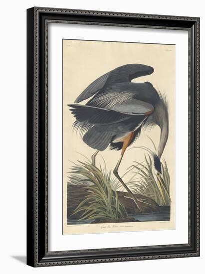 Great Blue Heron-John James Audubon-Framed Giclee Print