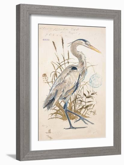 Great Blue Heron-Chad Barrett-Framed Art Print