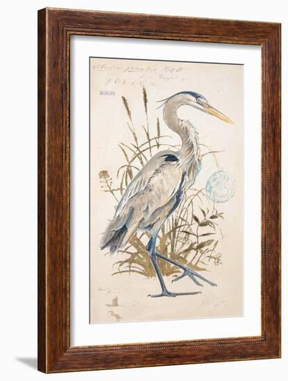 Great Blue Heron-Chad Barrett-Framed Art Print