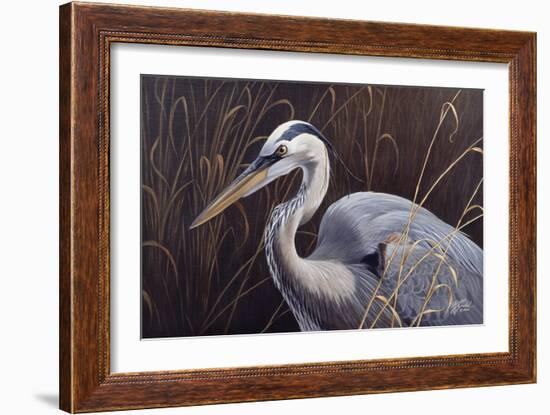 Great Blue Heron-Wilhelm Goebel-Framed Giclee Print