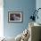 Great Blue Heron-Wilhelm Goebel-Framed Giclee Print displayed on a wall