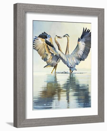 Great Blue Herons-Max Hayslette-Framed Giclee Print