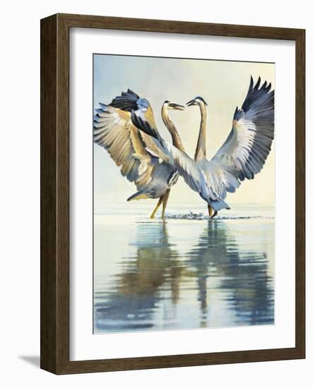 Great Blue Herons-Max Hayslette-Framed Giclee Print