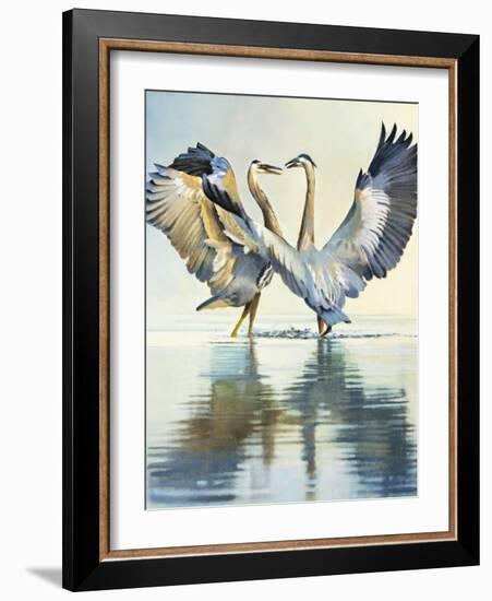 Great Blue Herons-Max Hayslette-Framed Giclee Print