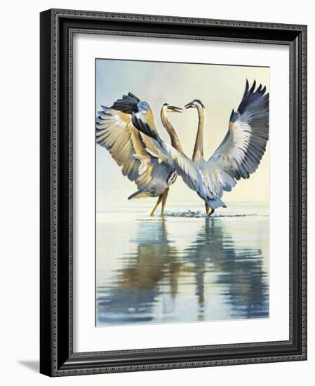 Great Blue Herons-Max Hayslette-Framed Giclee Print