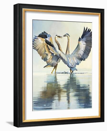 Great Blue Herons-Max Hayslette-Framed Giclee Print