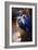 Great Blue Herons-Vivienne Dupont-Framed Art Print