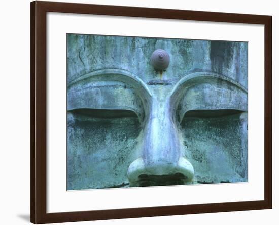 Great Buddha Detail, Kotokuji Temple, Kamakura, Japan-Rob Tilley-Framed Photographic Print