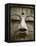 Great Buddha Statue, Kamakura, Daibutsu, Kanto, Japan-Steve Vidler-Framed Premier Image Canvas